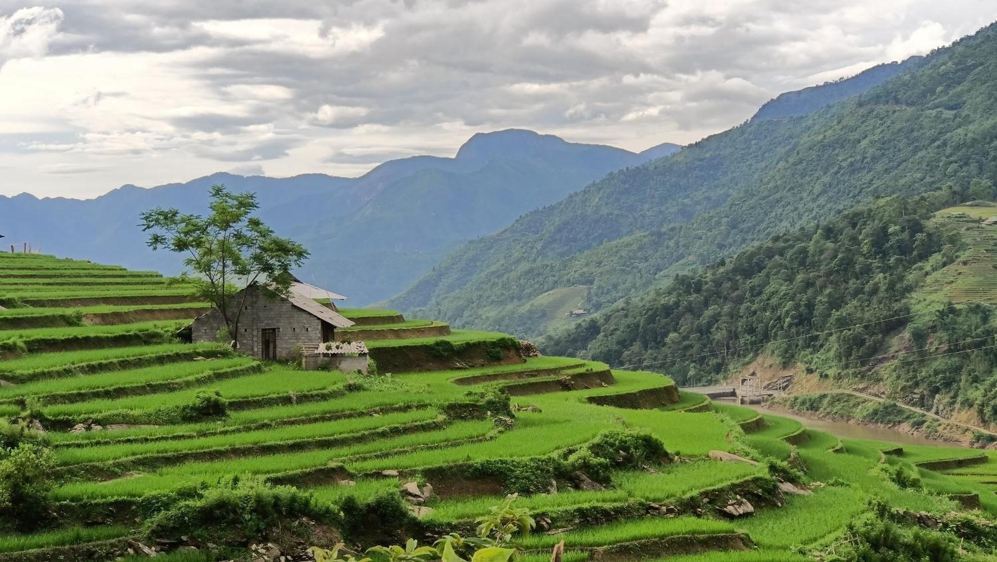 Sapa'S Soul Daire Dış mekan fotoğraf