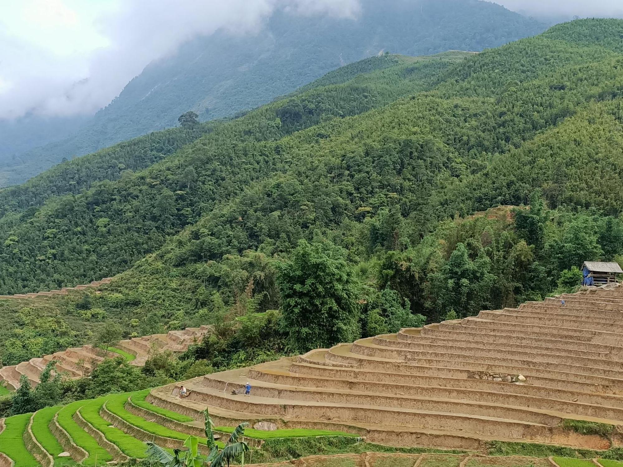 Sapa'S Soul Daire Dış mekan fotoğraf