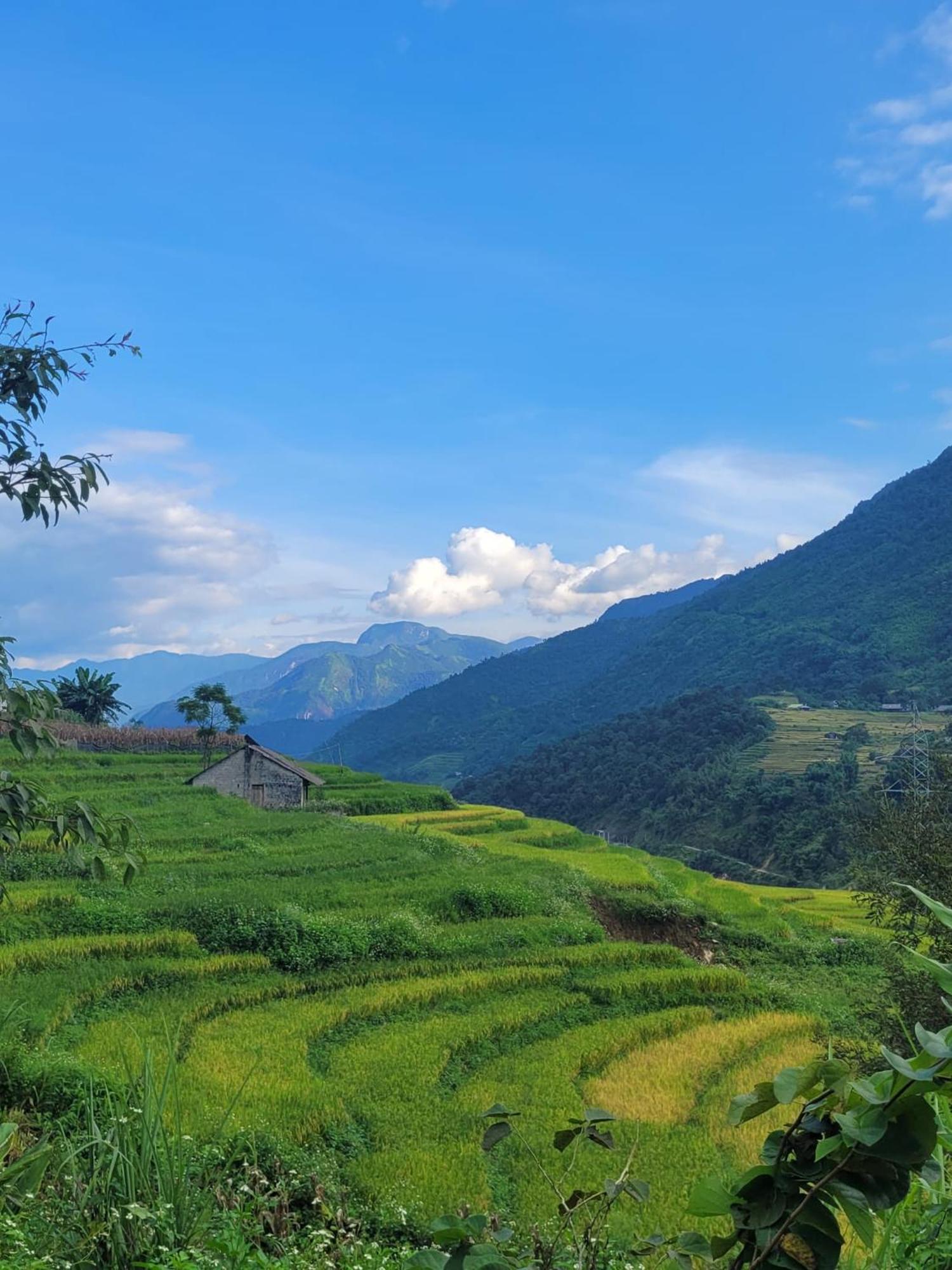 Sapa'S Soul Daire Dış mekan fotoğraf