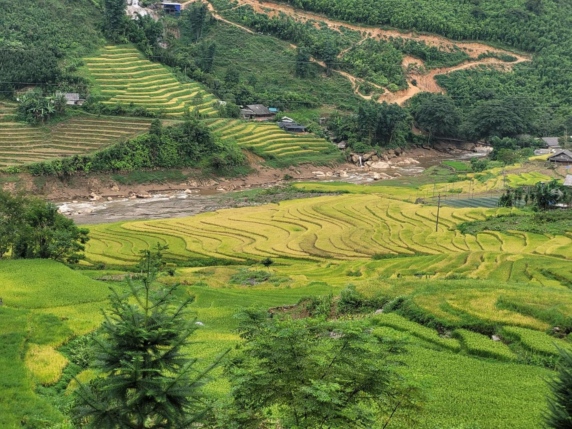 Sapa'S Soul Daire Dış mekan fotoğraf